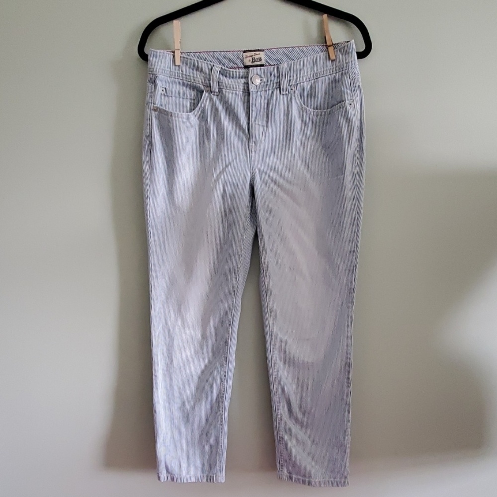 Pin Striped Jeans by Bass & Co.